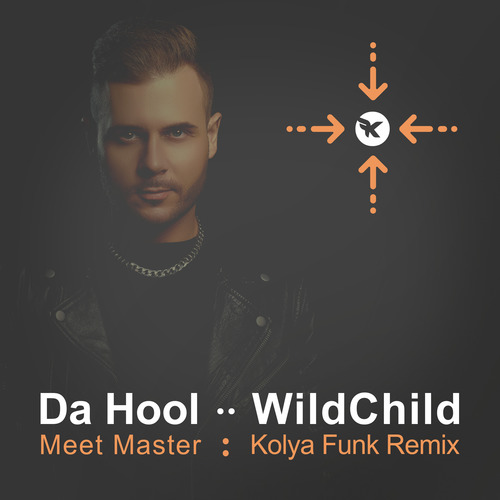 Обложка к песне Meet Master (Kolya Funk Remix) от Da Hool & WildChild
