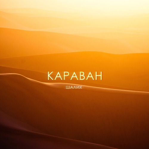 Обложка к песне Караван от Шалих