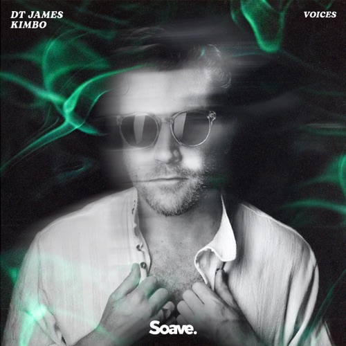 Обложка к песне Voices (feat. Kimbo) от DT James