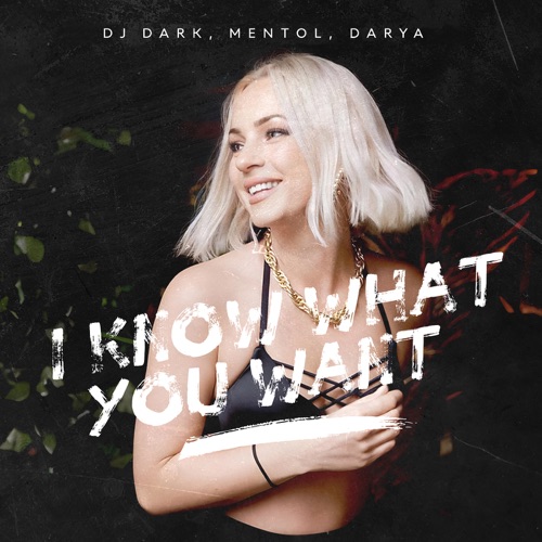 Обложка к песне I Know What You Want (feat. Mentol & Darya) от DJ Dark