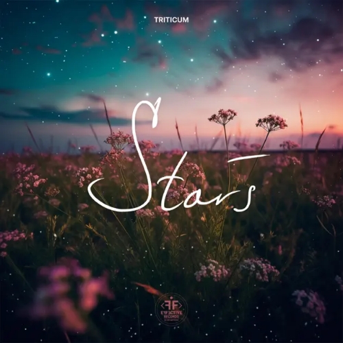 Обложка к песне Stars (Original Mix) от Triticum