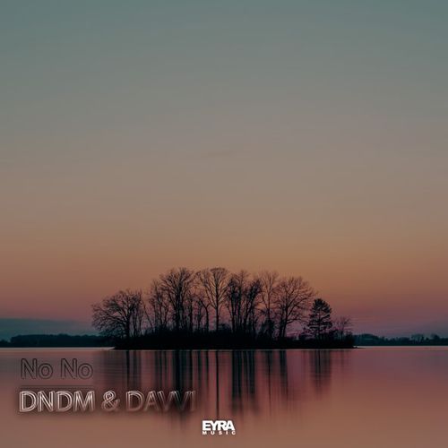 Обложка к песне No No (feat. Davvi) от DNDM