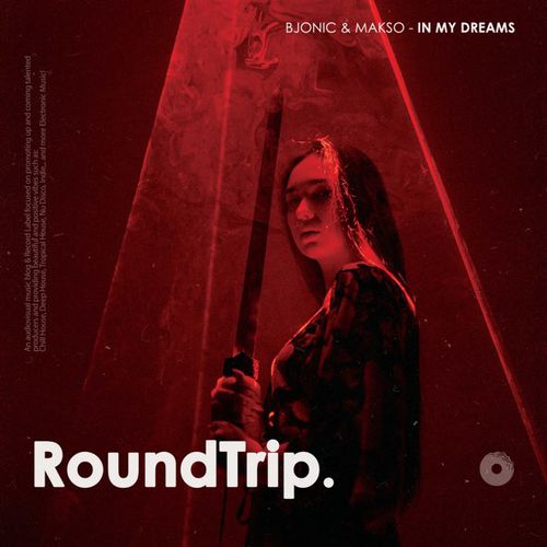 Обложка к песне In My Dreams (Original Mix) от RoundTrip.Music & Bjonic feat. Makso