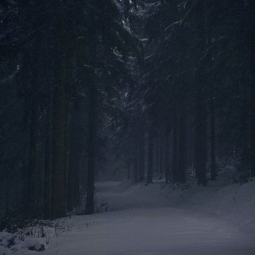 Обложка к песне Зима (feat. Килджо) от Адлин