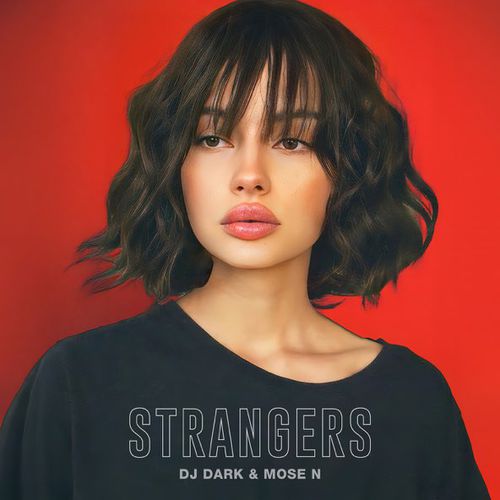 Обложка к песне Strangers (feat. Mose N) от DJ Dark