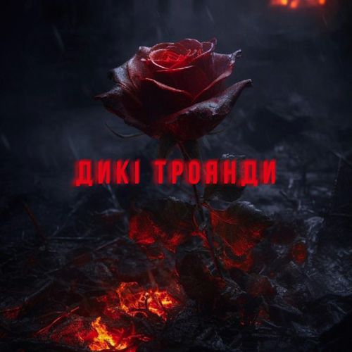 Обложка к песне Дикі Троянди от Travinskiy