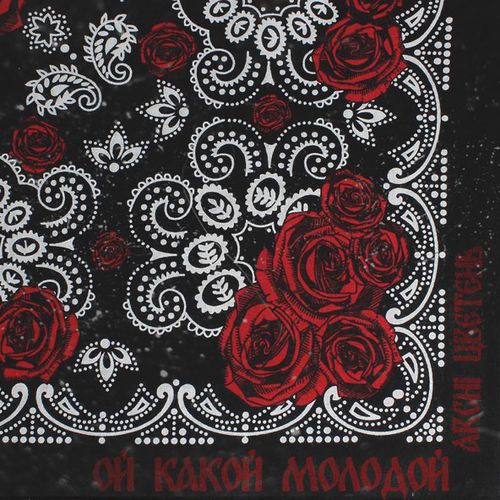 Обложка к песне Ой Какой Молодой (feat. Цветень) от Archi