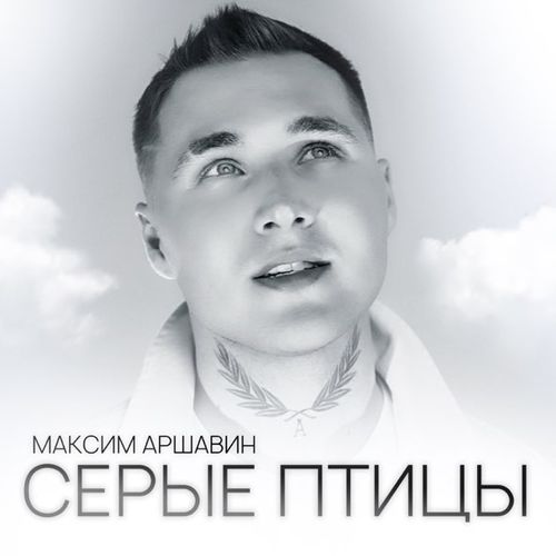 Обложка к песне Серые Птицы от Максим Аршавин
