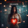 Обложка к песне Bleeding Love (feat. Kanvise) от Oneil