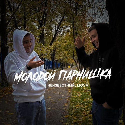Обложка к песне Молодой Парнишка (feat. Liova) от Неизвестный