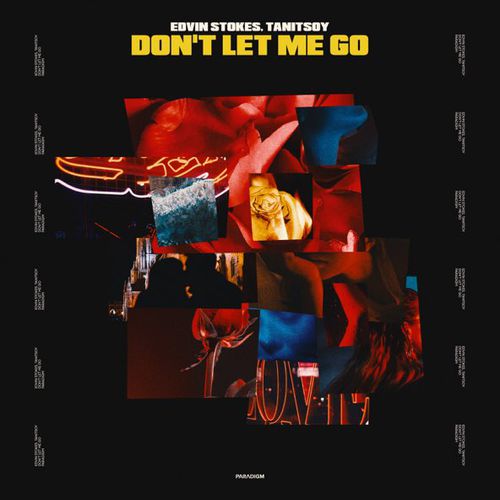 Обложка к песне Don't Let Me Go (feat. Tanitsoy) от Edvin Stokes
