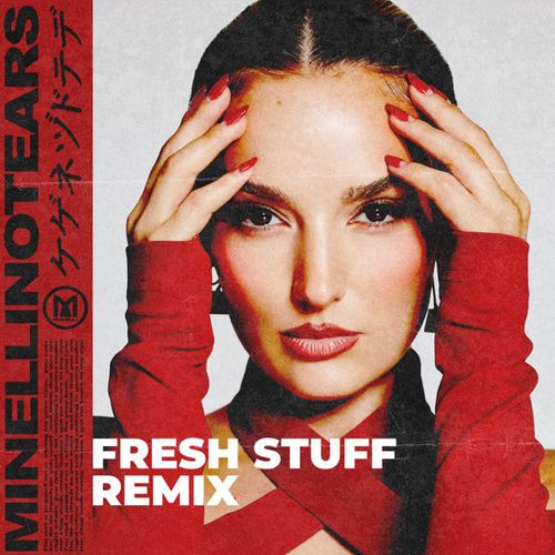 Обложка к песне No Tears (Fresh Stuff Remix) от Minelli