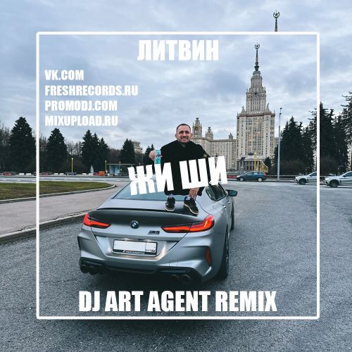 Обложка к песне Жы Ши (DJ Art Agent Censor Remix) от Литвин