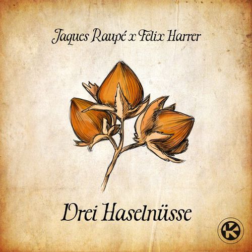 Обложка к песне 3 Haselnüsse (feat. Felix Harrer) от Jaques Raupé