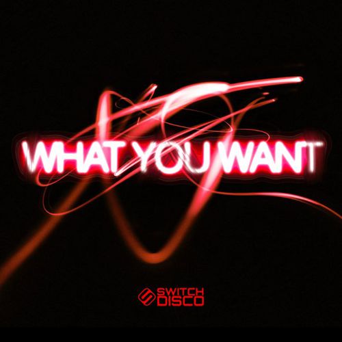 Обложка к песне What You Want от Switch Disco