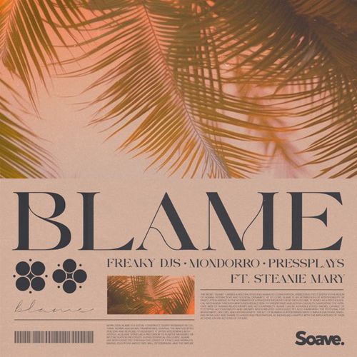 Обложка к песне Blame (feat. Mondorro & Pressplays & Steanie Mary) от Freaky DJs