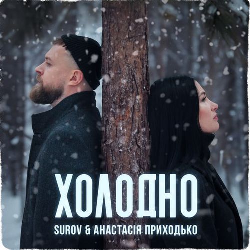 Обложка к песне Холодно (feat. Анастасия Приходько) от Surov