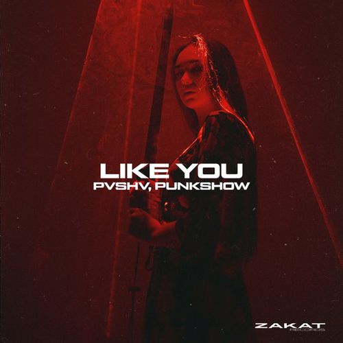 Обложка к песне Like You (feat. Punkshow) от Pvshv