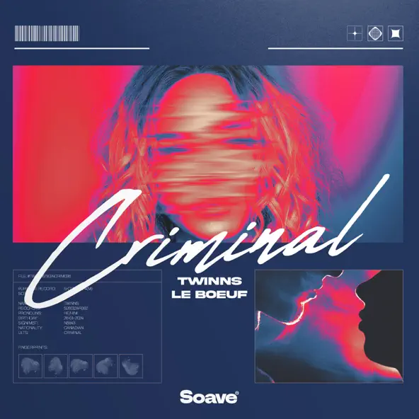 Обложка к песне Criminal (feat. Le Boeuf) от Twinns