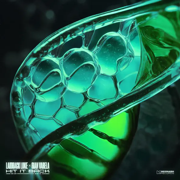 Обложка к песне Hit it Back (feat. Gian Varela) от Laidback Luke