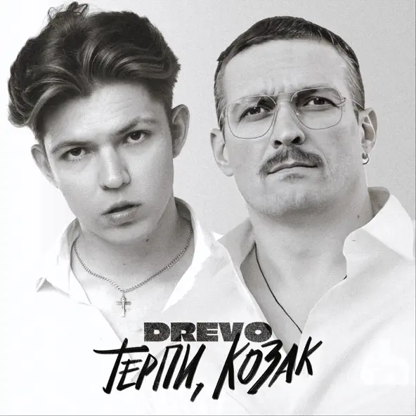 Обложка к песне Терпи, Козак от Drevo
