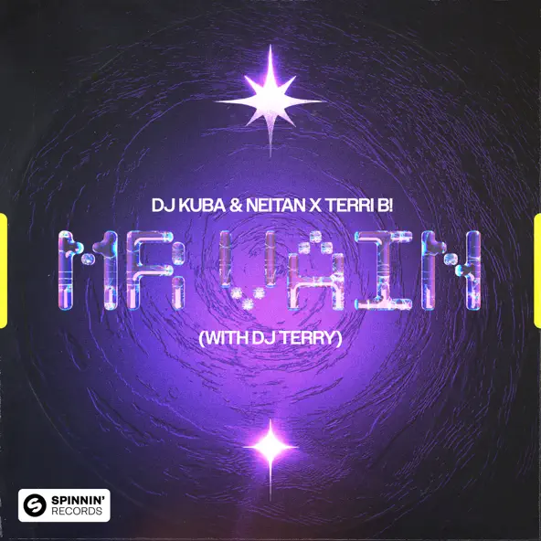 Обложка к песне Mr. Vain (feat. Terri B! & DJ Terry) от DJ Kuba & Neitan