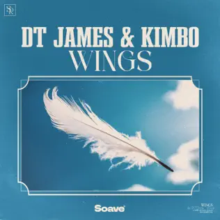 Обложка к песне Wings (feat. Kimbo) от DT James