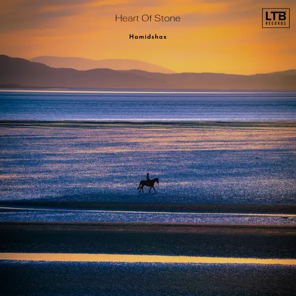 Обложка к песне Heart Of Stone (Original Mix) от Hamidshax