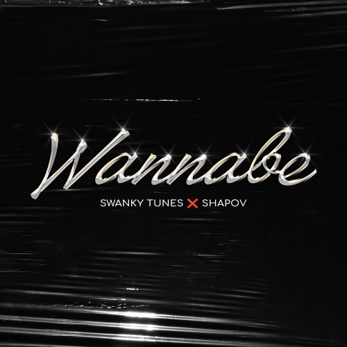 Обложка к песне Wannabe (feat. Shapov) от Swanky Tunes