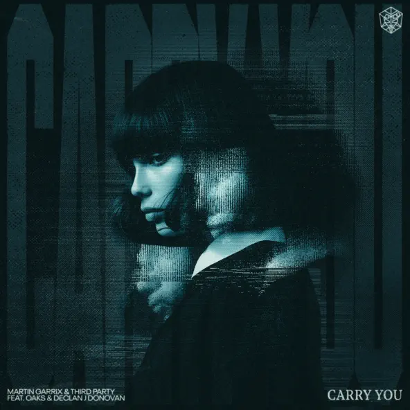 Обложка к песне Carry You (feat. Third Party & Oaks & Declan J Donovan) от Martin Garrix