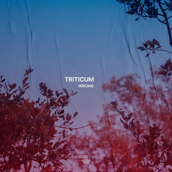 Обложка к песне Wrong от Triticum