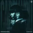 Обложка к песне Carry You (feat. Third Party & Oaks & Declan J Donovan) от Martin Garrix