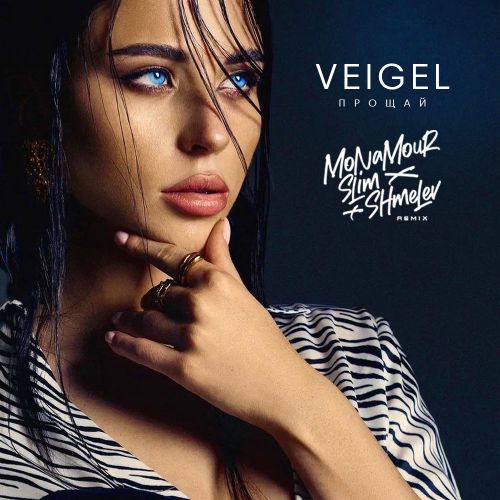 Обложка к песне Прощай (Monamour & Slim & Shmelev Remix) от Veigel