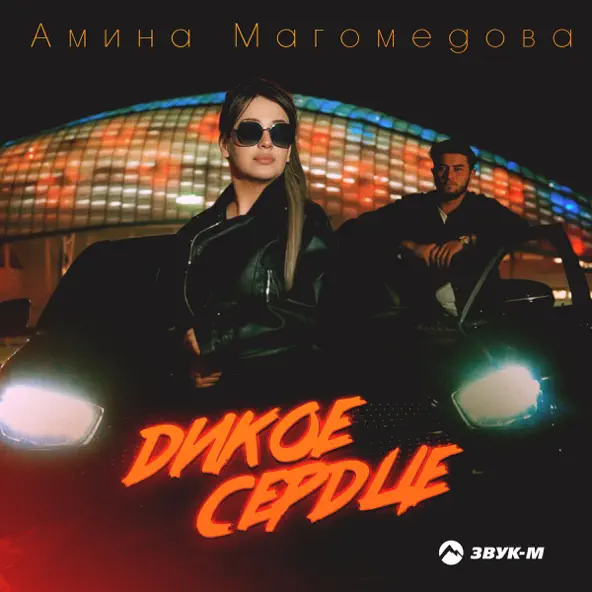 Обложка к песне Дикое Сердце от Амина Магомедова