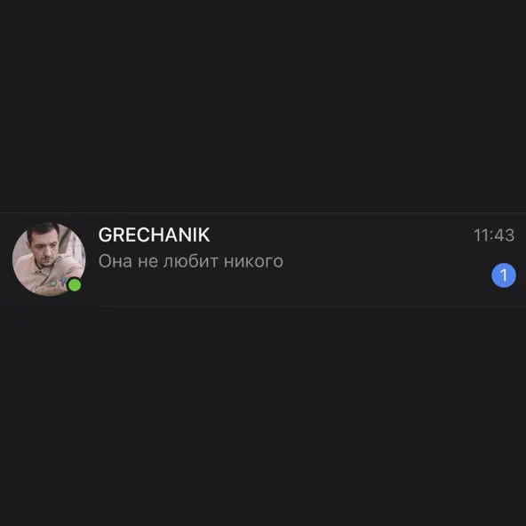 Обложка к песне Она Не Любит Никого от Grechanik