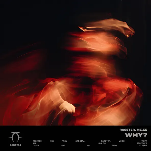 Обложка к песне Why? (feat. Me.ee) от Rasster