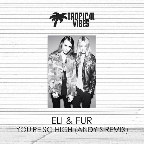 Обложка к песне You're So High (Andy S Remix) от Eli And Fur