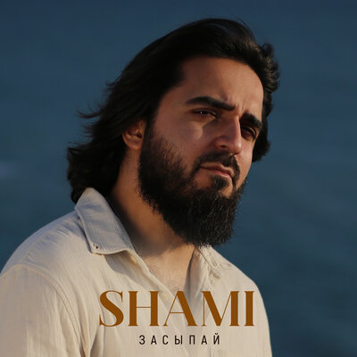 Обложка к песне Засыпай от Shami
