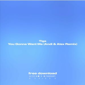Обложка к песне You Gonna Want Me (Andi & Alex Remix) от Tiga