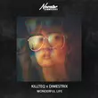 Обложка к песне Wonderful Life (feat. Dimestrix) от Killteq