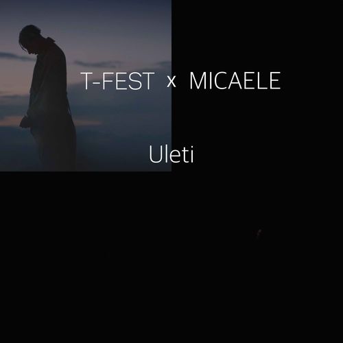 Обложка к песне Uleti (feat. Micaele) от T-Fest