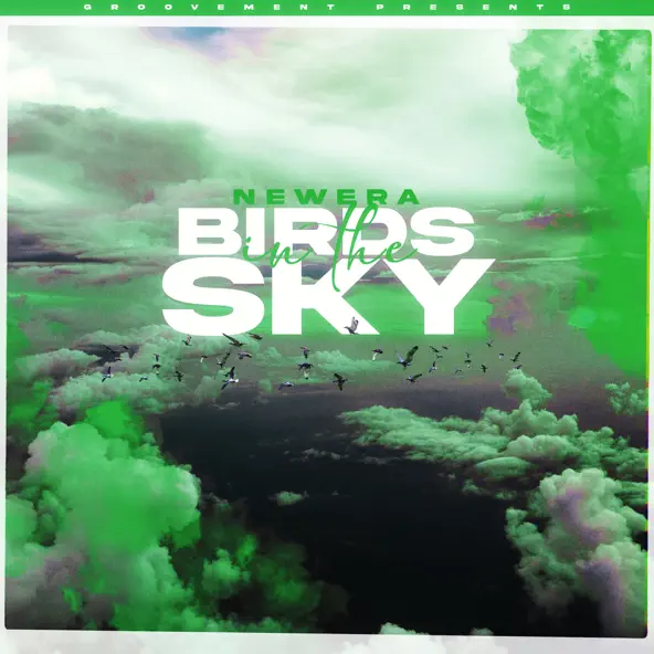 Обложка к песне Birds In The Sky от Newera