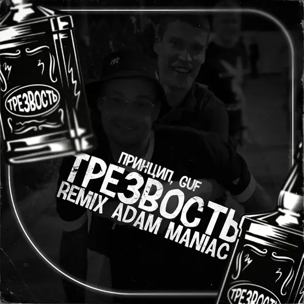 Обложка к песне Трезвость (Adam Maniac Remix) от Принцип & Guf