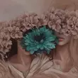 Обложка к песне Poema от Jarico