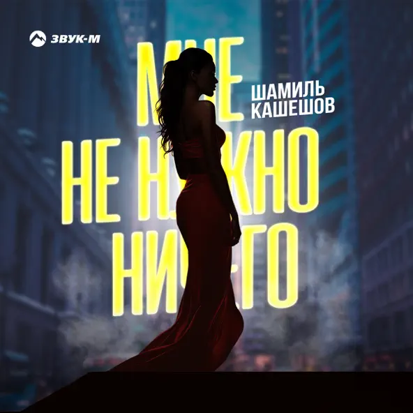 Обложка к песне Мне Не Нужно Ничего от Шамиль Кашешов