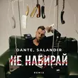 Обложка к песне Не Набирай (Salandir Remix) от Dante