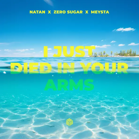 Обложка к песне I Just Died In Your Arms (feat. Zero Sugar & Meysta) от Natan