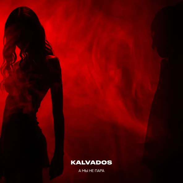 Обложка к песне А Мы Не Пара (Remix) от Kalvados