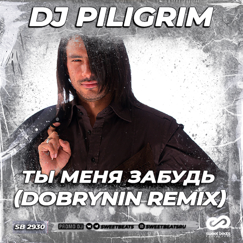 Обложка к песне Ты Меня Забудь (Dobrynin Remix) от DJ Piligrim