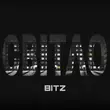 Обложка к песне Світло от Bitz